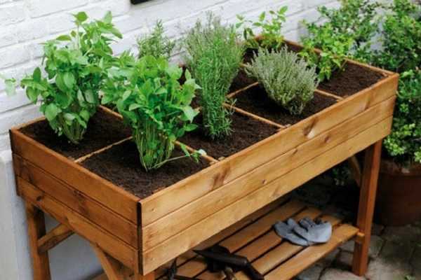 Potagers surélevés : pourquoi, comment les construire ?