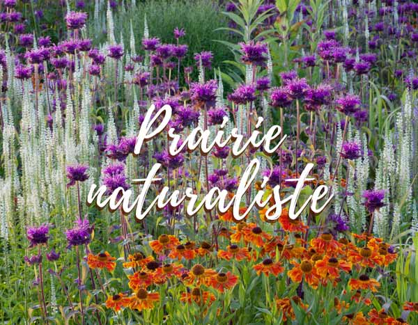 Prairie Naturaliste