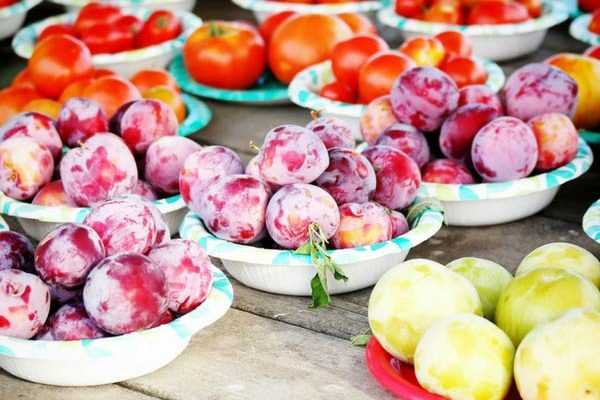 Que faire des surplus de récoltes du potager ?