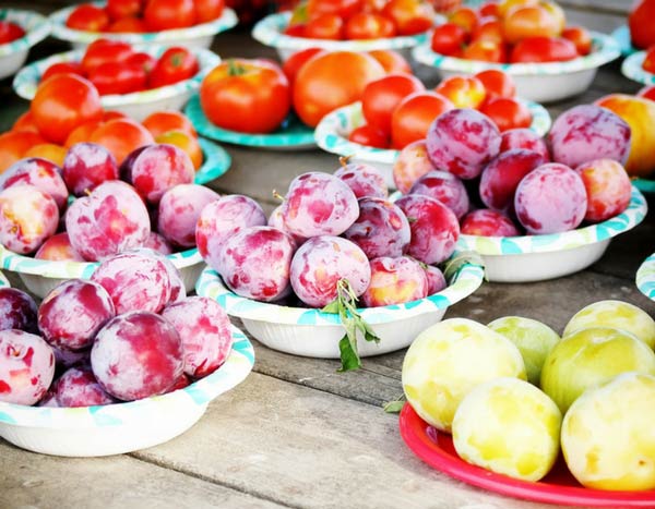 Que faire des surplus de récoltes du potager ?