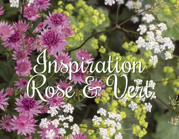 Inspiration Rose Vert