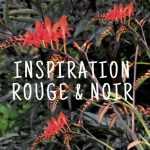 Jardin rouge et noir