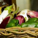 Semer les aubergines, poivrons et piments : quand et comment ?