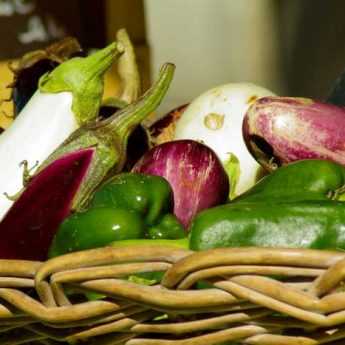 Semer les aubergines, poivrons et piments : quand et comment ?