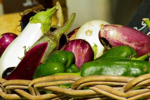 Semer les aubergines, poivrons et piments : quand et comment ?