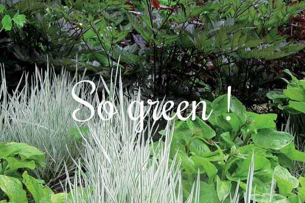 So Green !