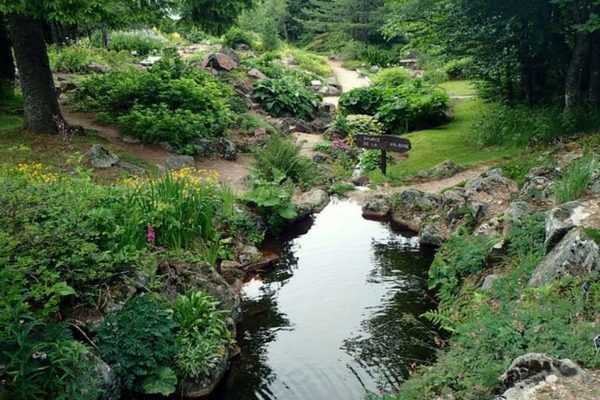 Le jardin d'altitude du Haut Chitelet