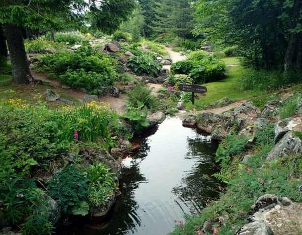 Le jardin d'altitude du Haut Chitelet