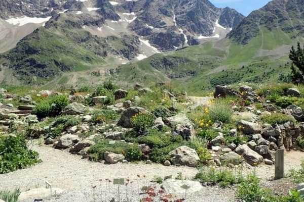 Le jardin botanique alpin du Lautaret