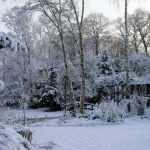 La neige au jardin, grands bienfaits ou vraie galère ?