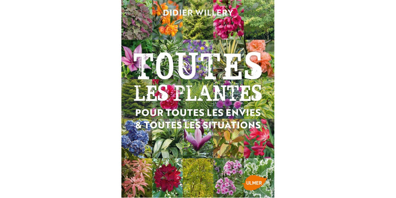 Toutes les plantes