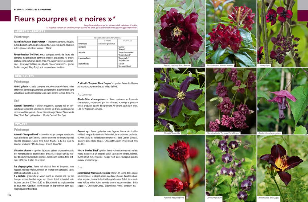 Toutes les plantes pour toutes les envies - extrait