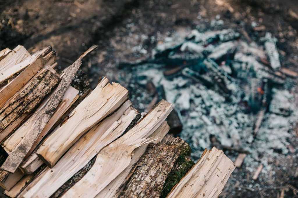 Cendre de bois : comment l'utiliser au jardin ?