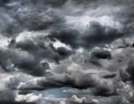 Tempête et jardin : que faire avant et après ?