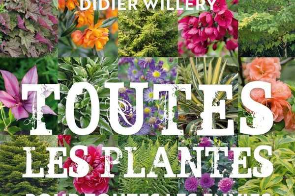 Toutes les plantes, pour toutes les envies et toute les situations - Didier Willery
