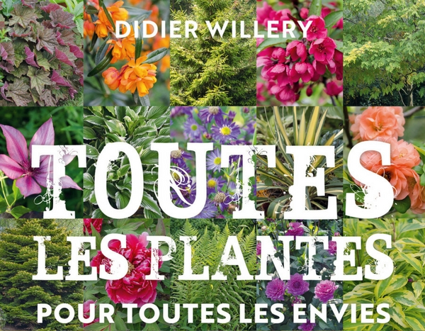 Toutes les plantes, pour toutes les envies et toute les situations - Didier Willery