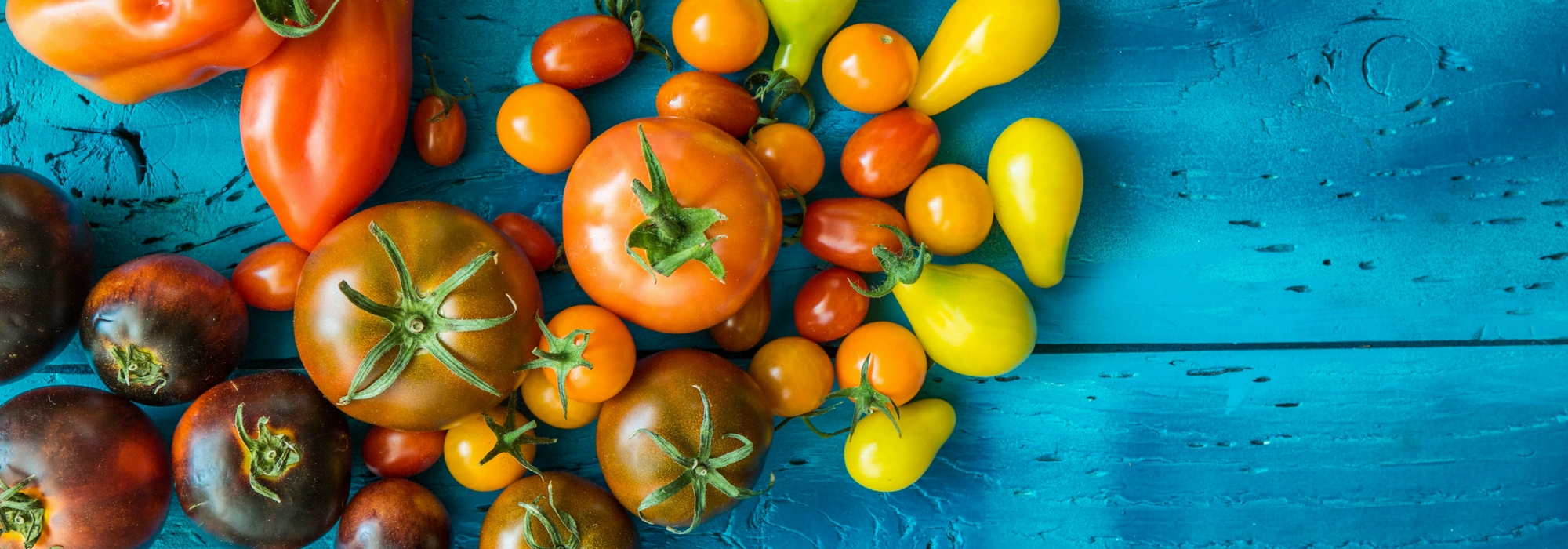 Plants de légumes greffés