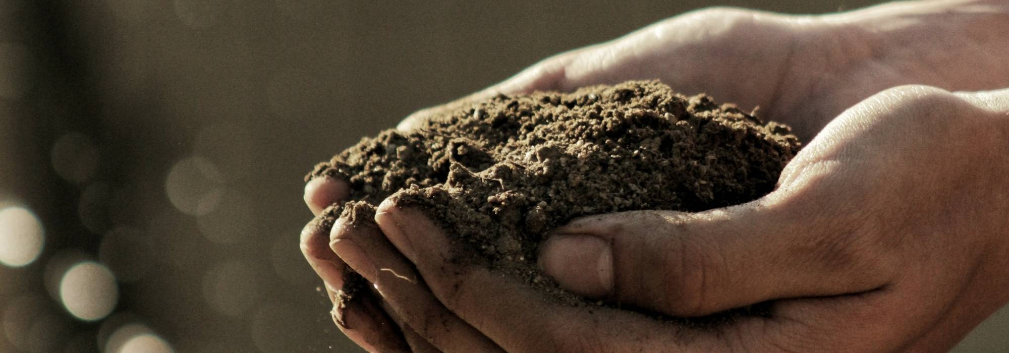 Comment choisir du terreau en jardinerie ?