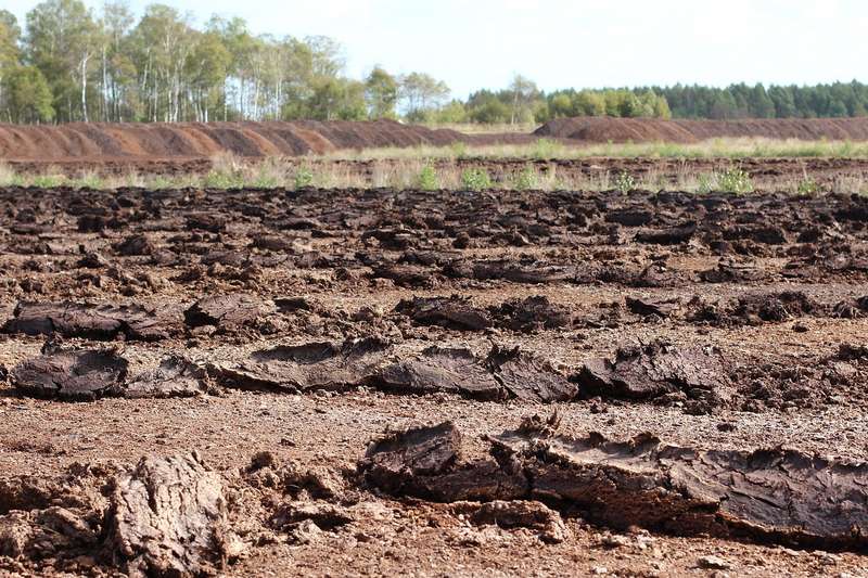 Banc d'essai : terreaux, avec ou sans tourbe ? - Terre Vivante