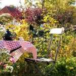 L'aménagement d'un petit jardin