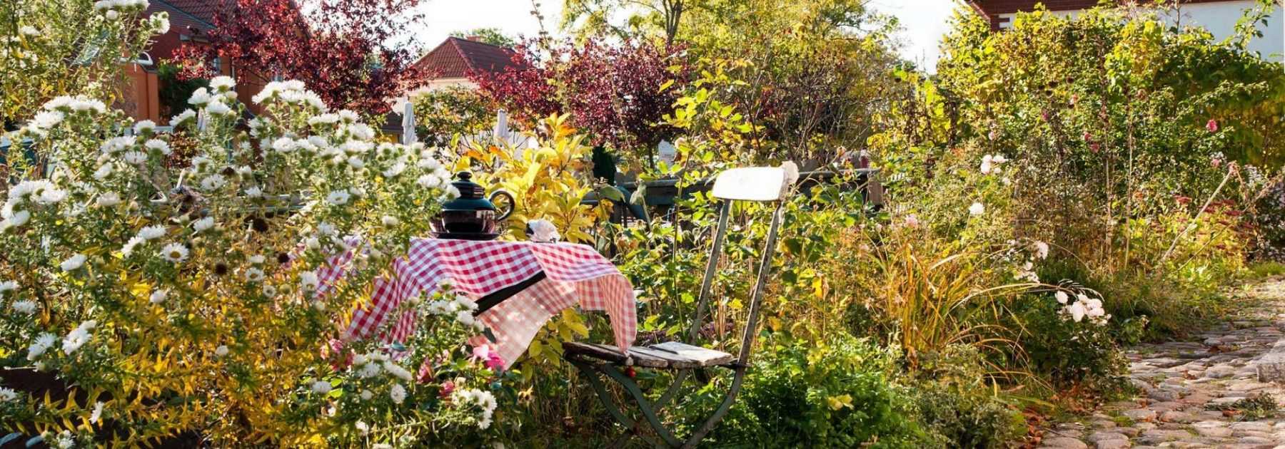 Comment aménager un jardin miniature ?