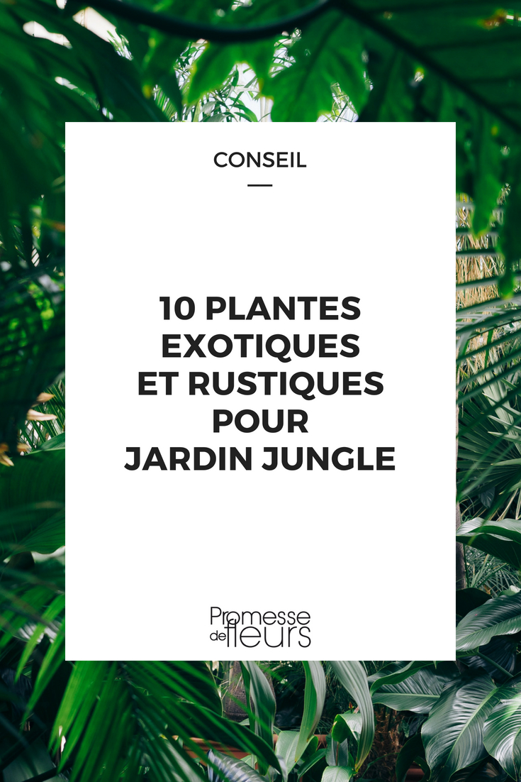 Un Jardinier Asiatique Tient Une Petite Plante D'intérieur Et