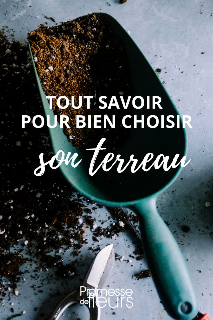 Terreau : tout savoir pour bien le choisir - Nos conseils