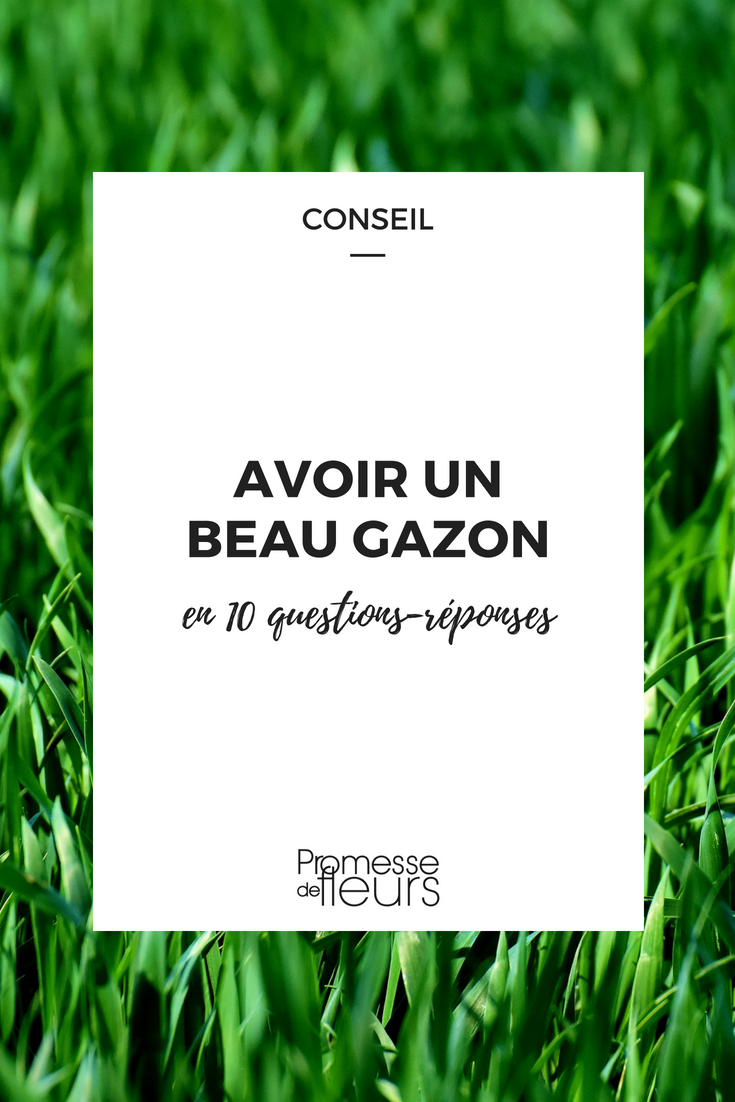 Comment avoir un beau gazon sans mauvaises herbes ? Quand semer votre pelouse ? Comment bien l'entretenir, la tondre, la rénover sans tout refaire... Nos experts jardin répondent à toutes vos questions sur le gazon et la pelouse !