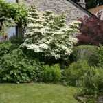 "Le Bouillon Blanc", un jardin riche et poétique à Sensenruth (Belgique)