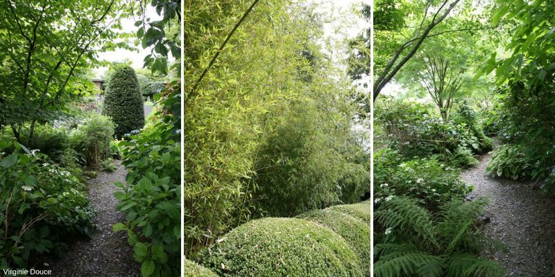 jardin bouillon blanc, sentiers en sous-bois