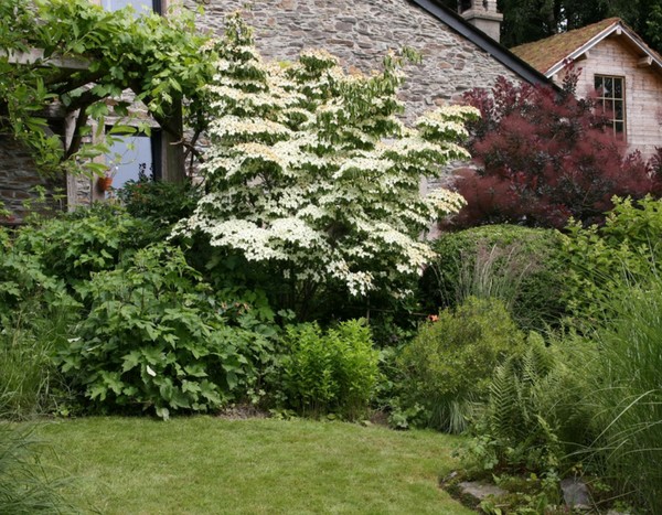 "Le Bouillon Blanc", un jardin riche et poétique à Sensenruth (Belgique)