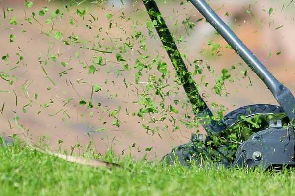 Tout savoir sur le mulching, une autre façon de tondre