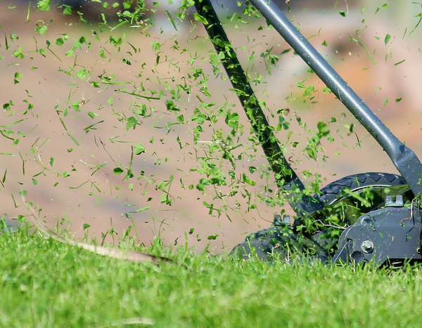 Tout savoir sur le mulching, une autre façon de tondre