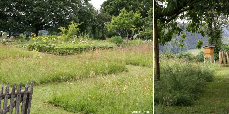 verger, prairie fleurie, biodiversité, abeilles