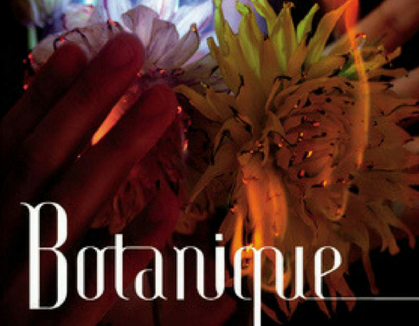 Exposition Botanique - Akira Inumaru à l'Orangerie du Sénat