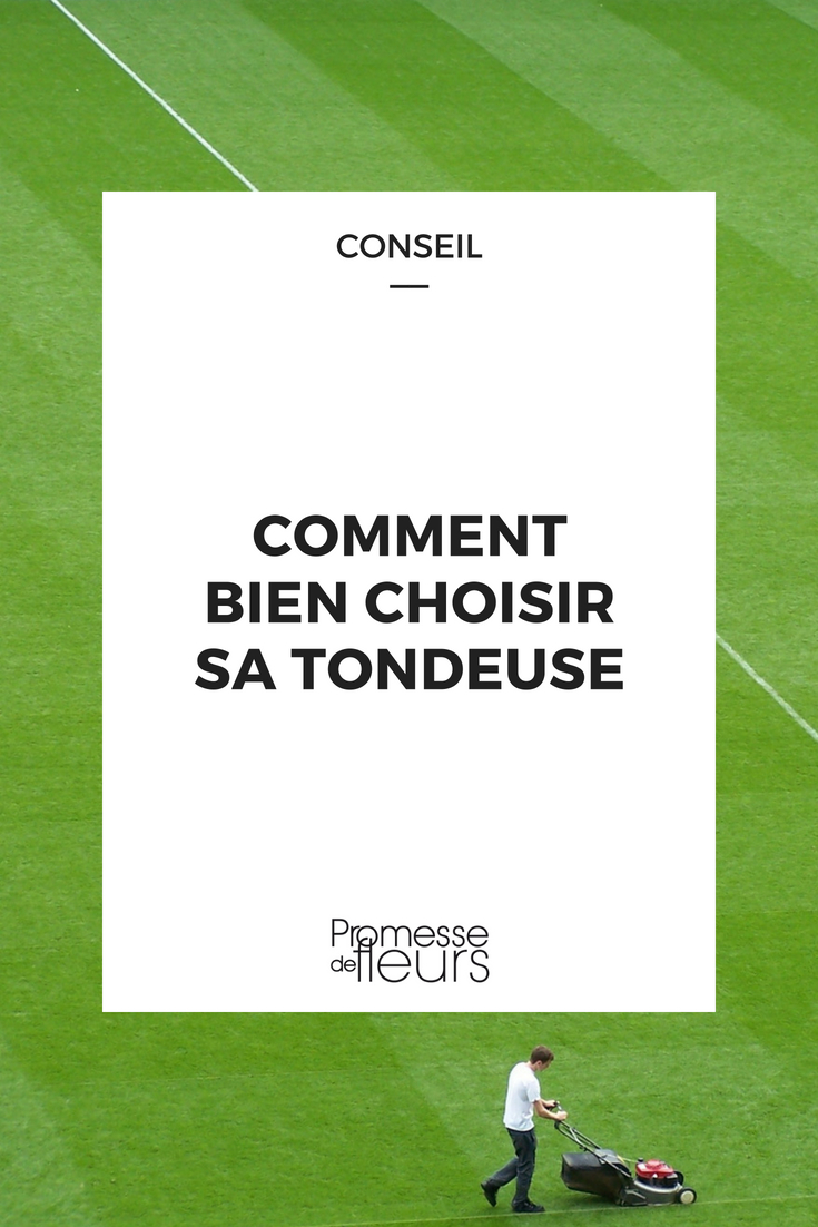 choisir sa tondeuse - conseils