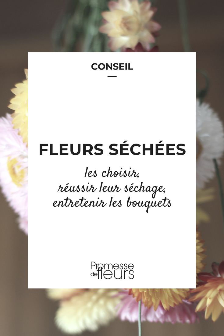 A quoi sert une bêche ? - Blog Promesse de fleurs