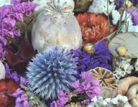 Fleurs séchées : lesquelles choisir, comment les faire sécher et entretenir vos bouquets