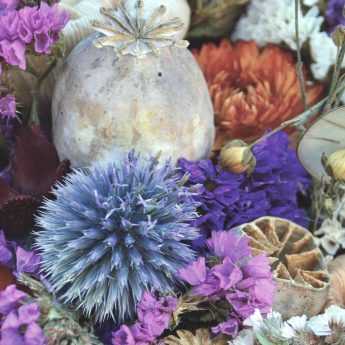 Fleurs séchées : lesquelles choisir, comment les faire sécher et entretenir vos bouquets