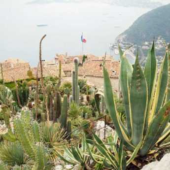 Le jardin exotique d’Eze