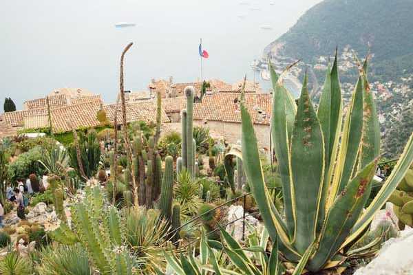 Le jardin exotique d’Eze