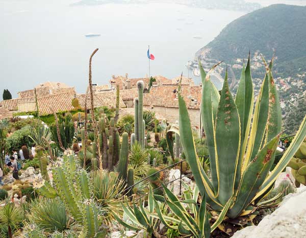 Le jardin exotique d’Eze