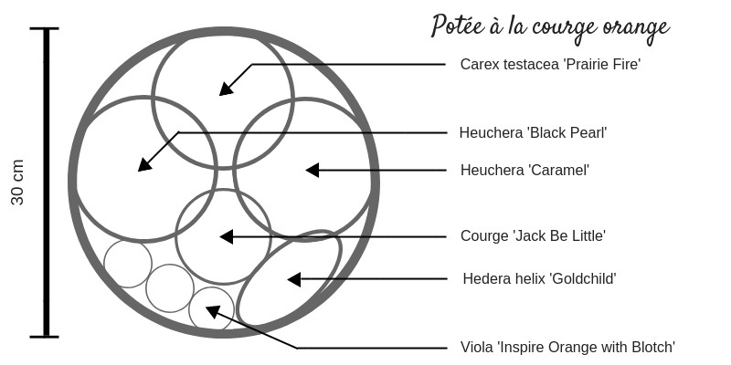 plan jardinière d'automne