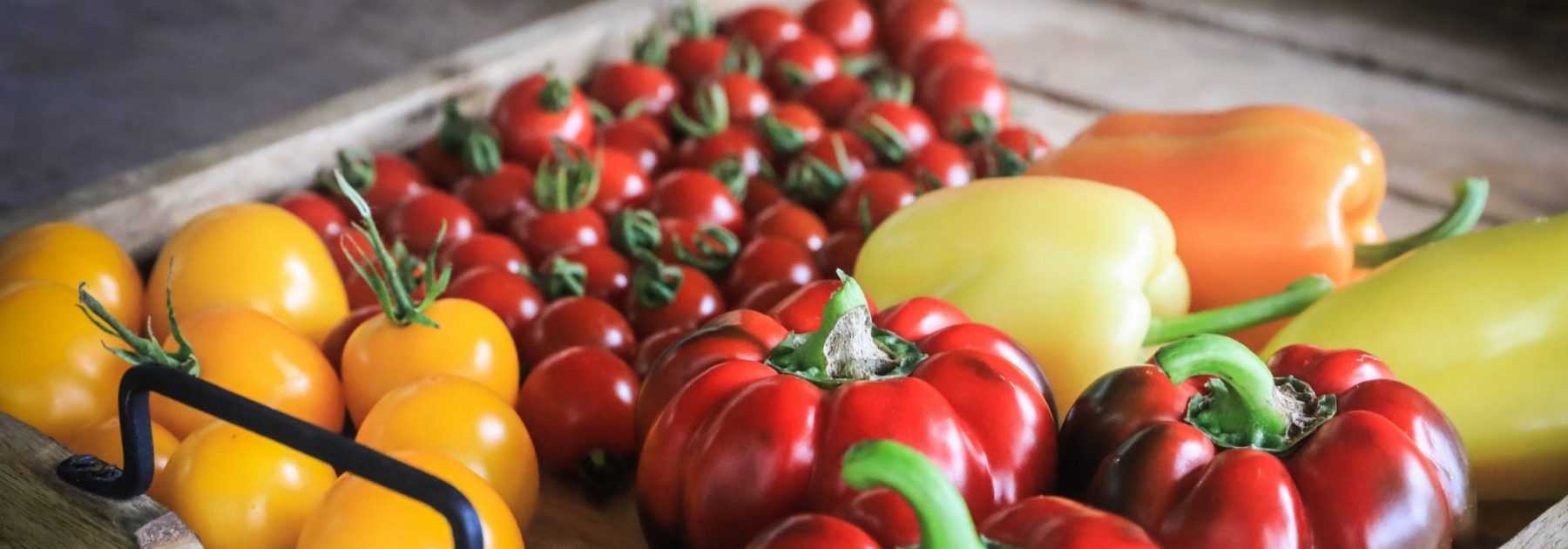 Comment faire mûrir les derniers fruits et légumes du potager