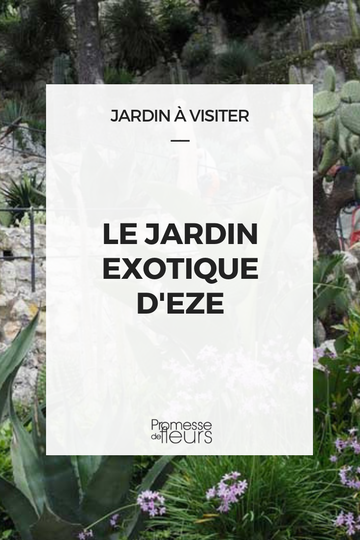 Le jardin exotique d'Eze