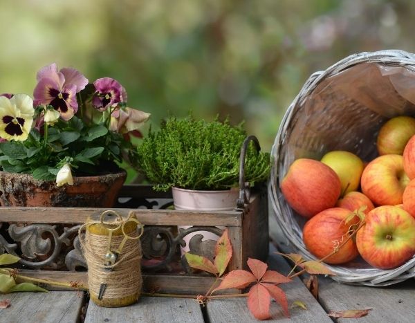 Jardinières et potées d'automne : 3 idées, 3 styles