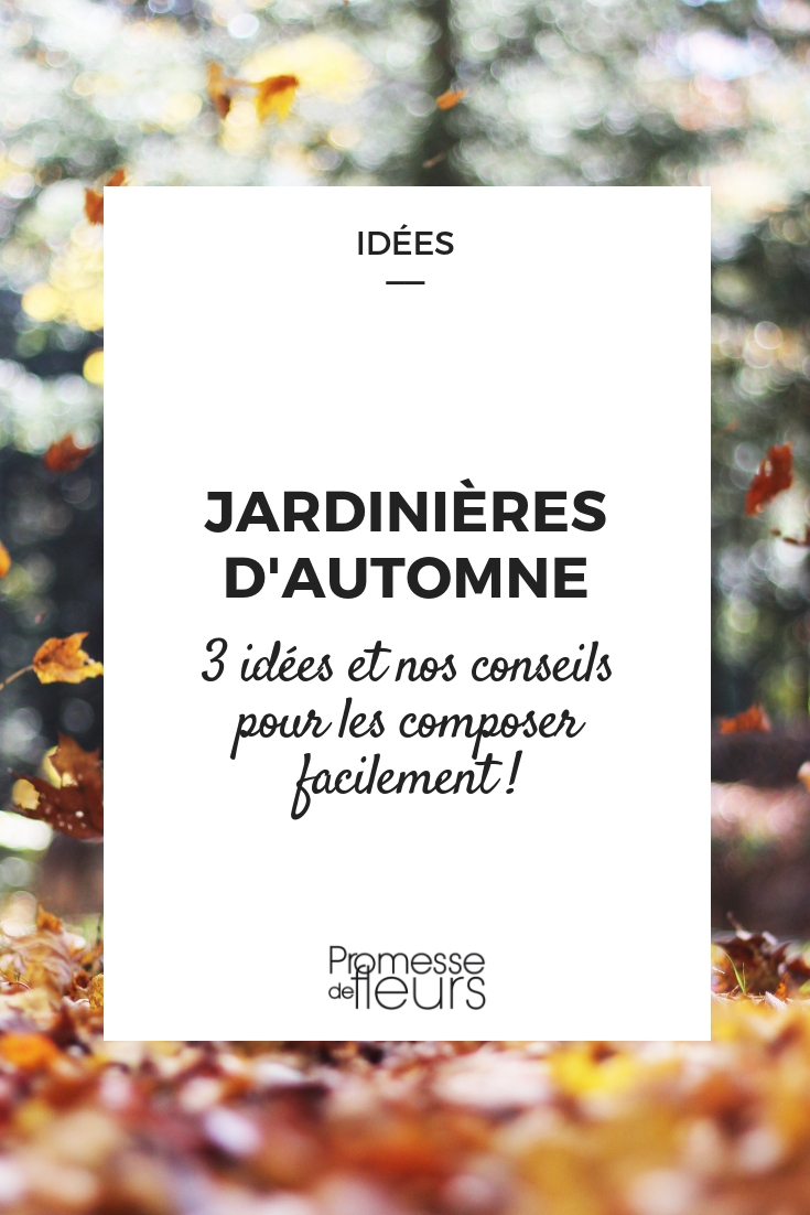 idée jardin pour l'automne : potées