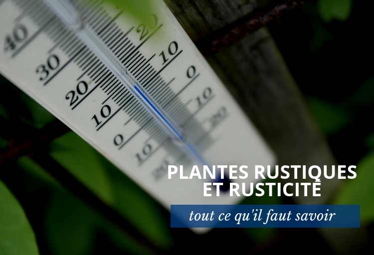 plante rustique et rusticité