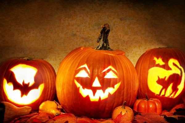 Spécial Halloween : 15 plantes qui font peur !
