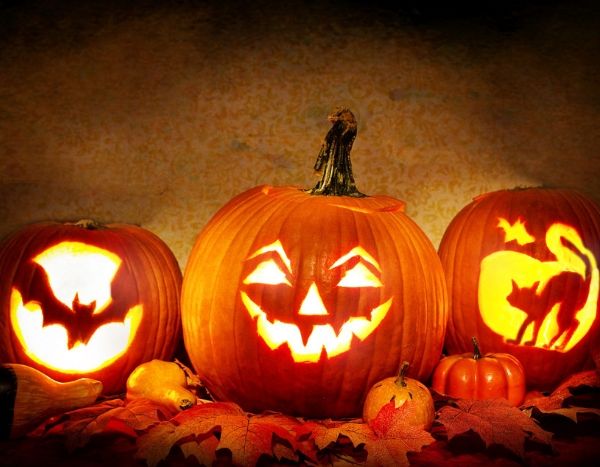 Spécial Halloween : 15 plantes qui font peur !